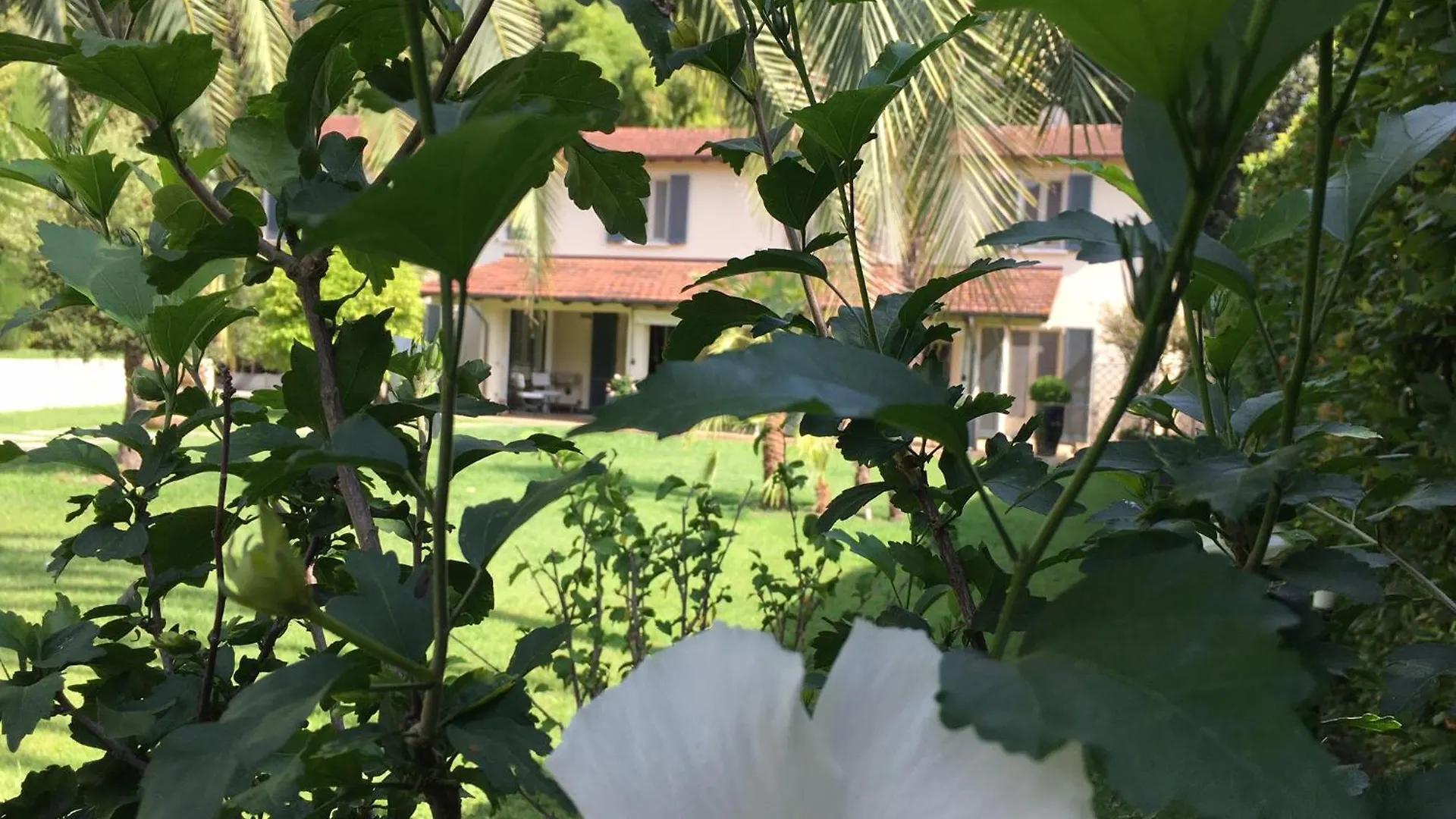 Spazio D'Arte Relais Pietrasanta 0*,  Italy
