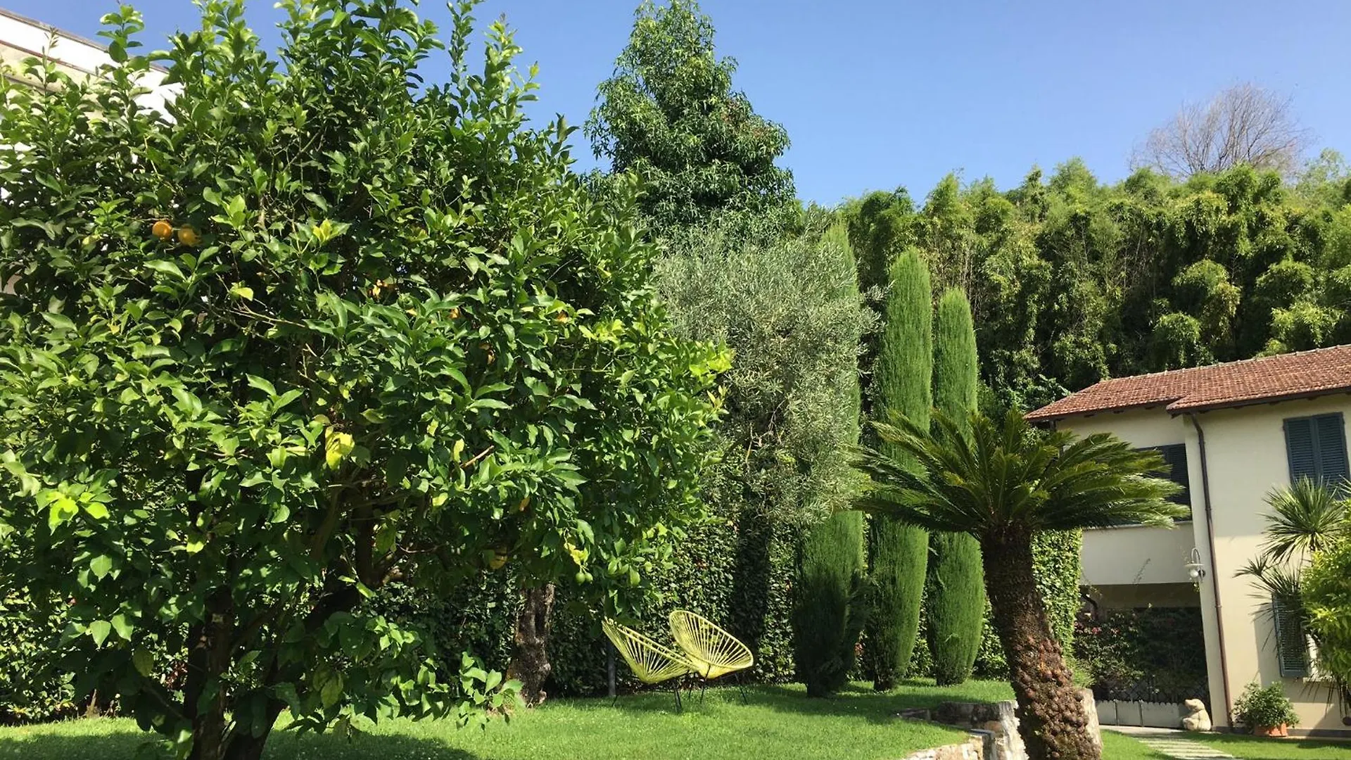 Spazio D'Arte Relais Pietrasanta